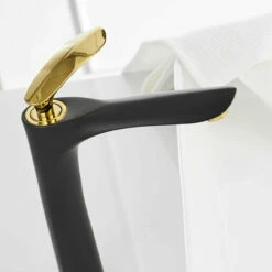 Royal LUXE Tall Single Handle Lav Faucet Black And Gold 11 Royal LUXE Tall Single Handle Lav Faucet Black And Gold -AMERICANBATH Sales 51Z6hSZ3qvL. SL1100 78865 69201.1552189110