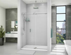 Fleurco K2 Kinetik K2 In Line Door And Panel