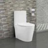 Royal Ever Clean Dual Flush Toilet Elongated Bowl White Color One Piece With Softclose Seat